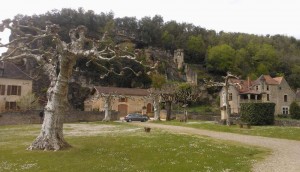 WP_000363-1000