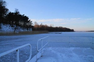 IMG_1532-1000