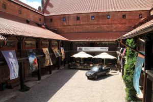 IMG_6453-1000
